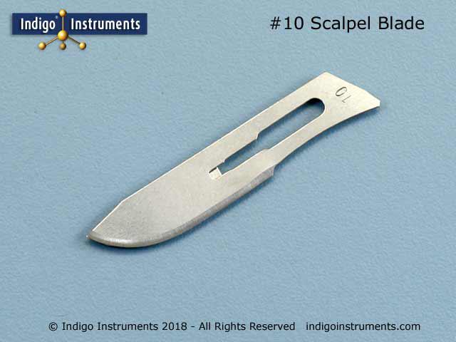 10 sharp carbon steel scalpel blades for biology dissection.