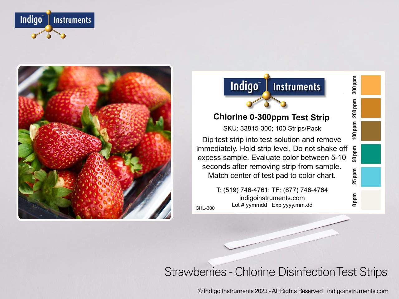 Strawberry Postharvest Disinfection
