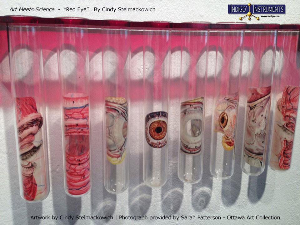 Museum Giant Glass Tube Gallery Art Design