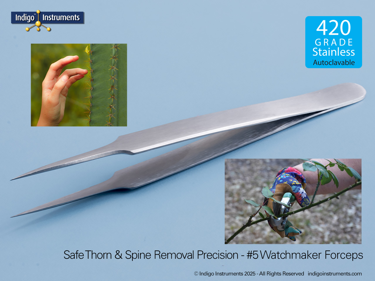 Thorn & Spine Removal Forceps