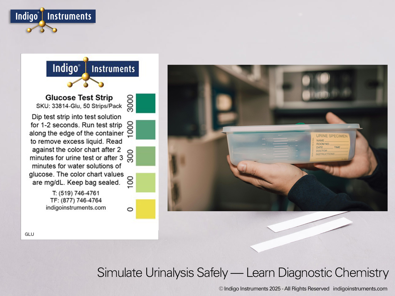 Urinalysis Experiment Glucose Test Strips