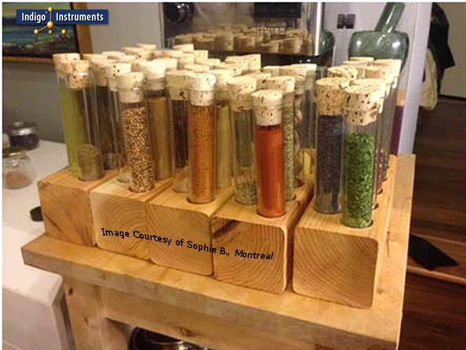 Jumbo Glass Test Tube Corked Spice Holders