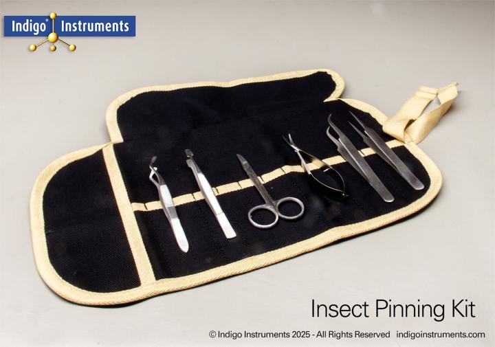 Insect Pinning Kit
