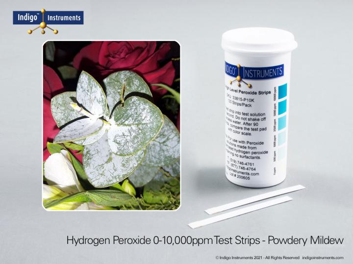 Indigo Hydrogen Peroxide Test Strips, 10000ppm, High Level