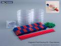 Bar Magnets, Filings, Petri Dishes