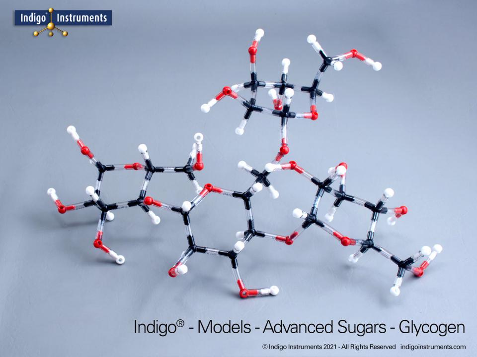 Sugar Structures Molecular Model Kit, Indigo