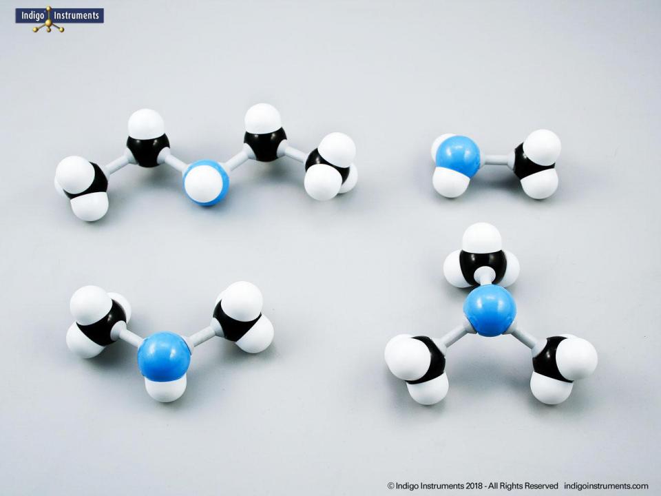 Molymod Student Molecular Model Set