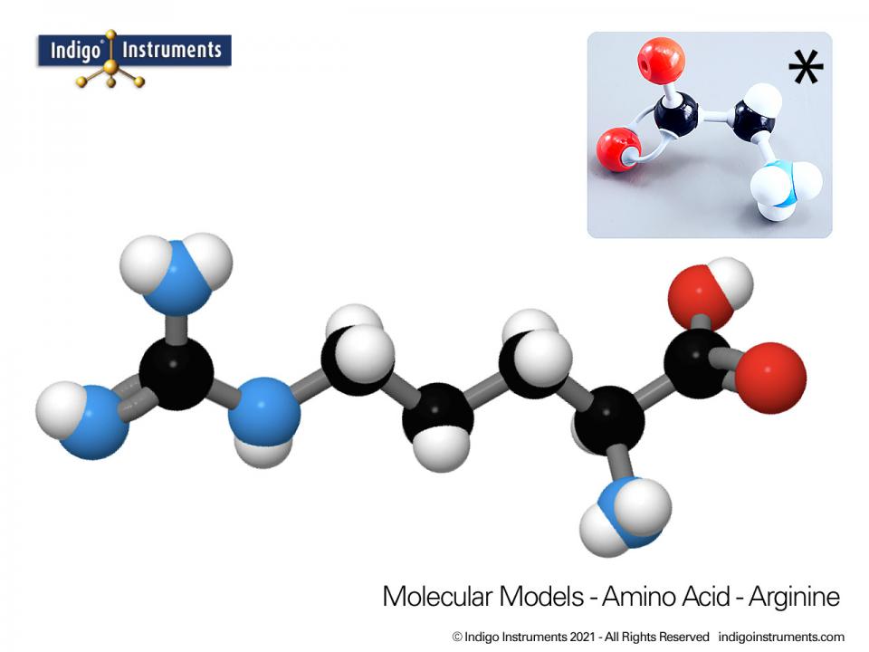 Lysine Structure Amino Acid Molecular Model, Molymod Style