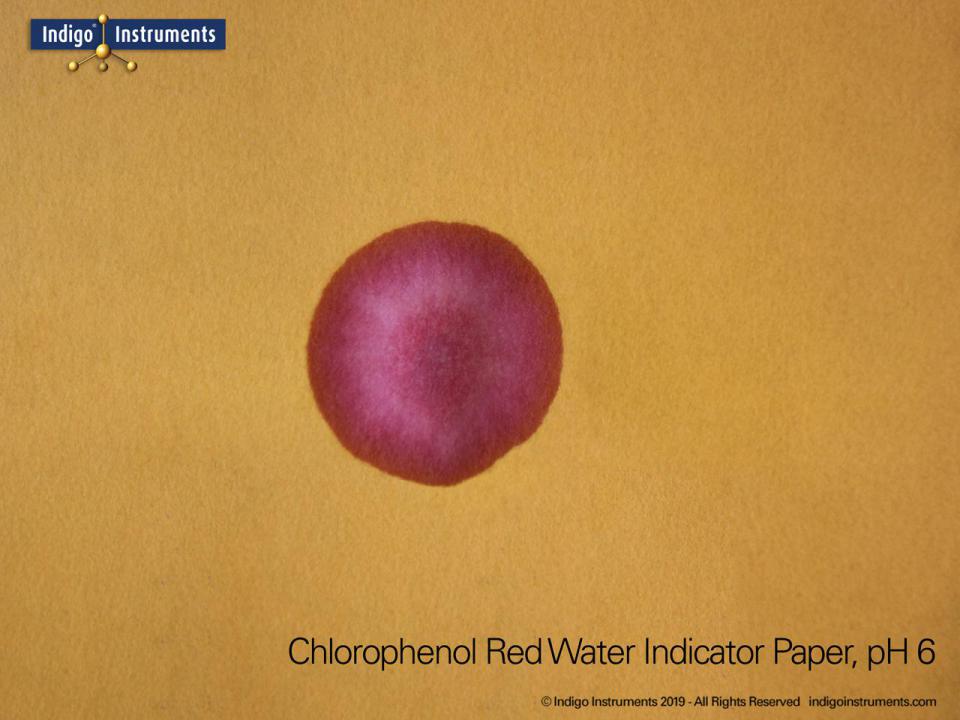 Water Leak Test Paper