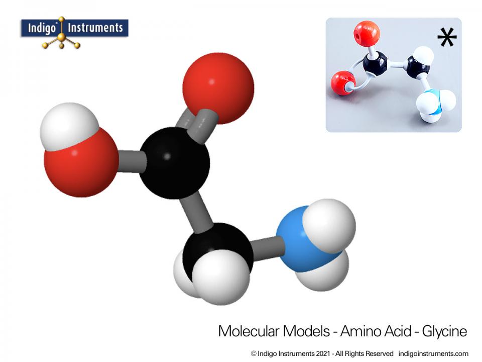 Glycine Structure Amino Acid Molecular Model, from Indigo