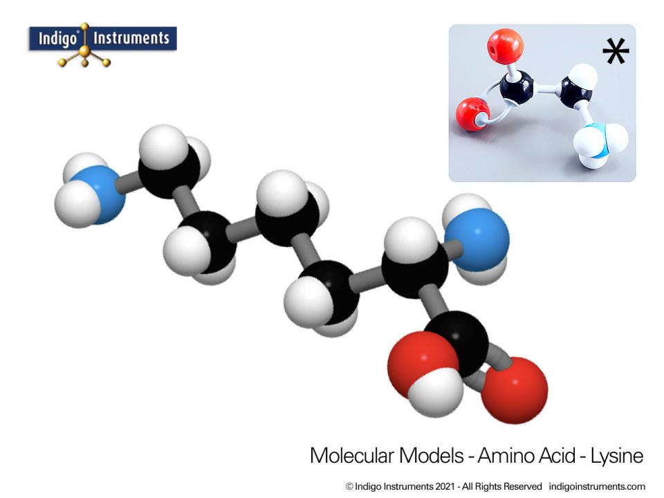 Lysine Structure Amino Acid Molecular Model, Molymod Style