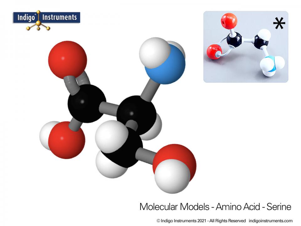 Serine Structure Amino Acid Molecular Model, Molymod Style