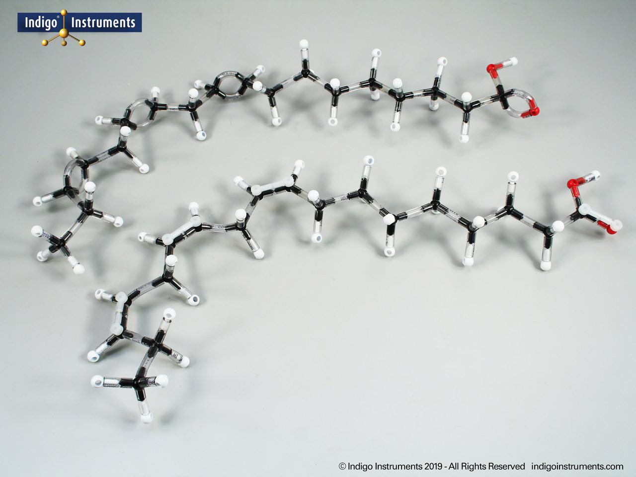 Orbit fatty acid structures molecular model kit