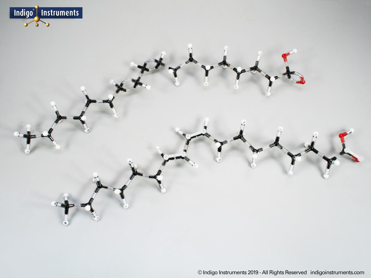 Orbit conjugated linoleic fatty acid molecular model