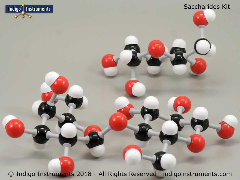 Models Glucose Monosaccharide 3 Monosaccharide Models Glucose 3