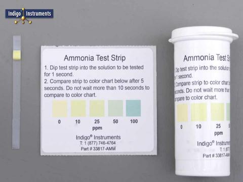 Ammonia Test Chart