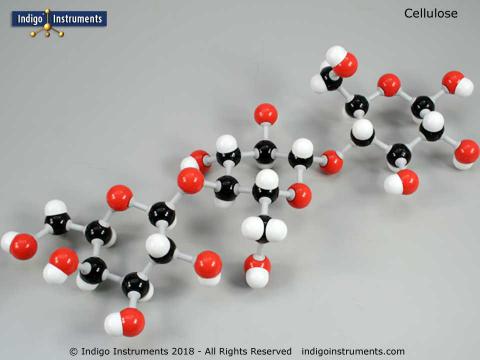 Cellulose Polymer Chemical Formula 3d Model Stock Vector