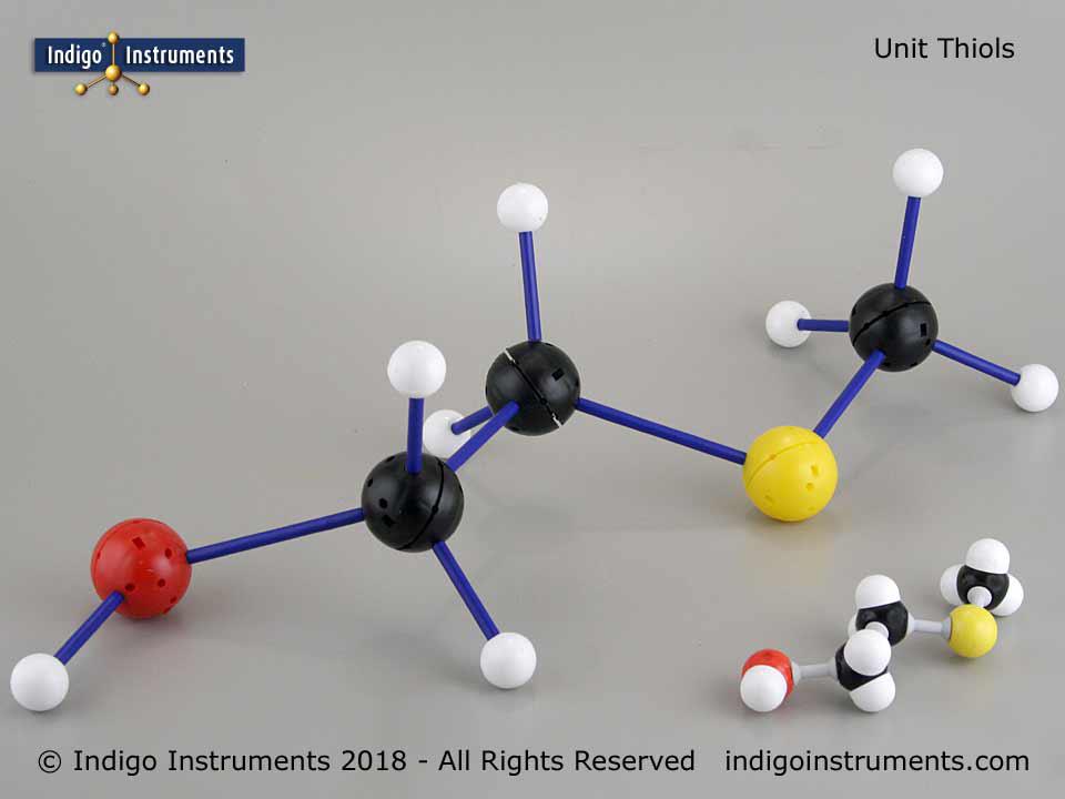 Thiol Structure MoleculesLarge Model for Classroom Lectures
